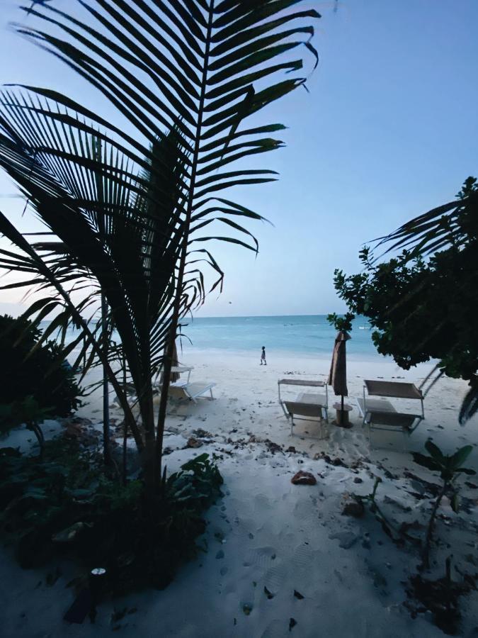 Crystal Beach Nungwi Eksteriør billede